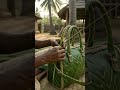 Coconut Leaf Weaving Hand Bag Craft Activities With Real Leaves😍 #craft #coconut #leaf