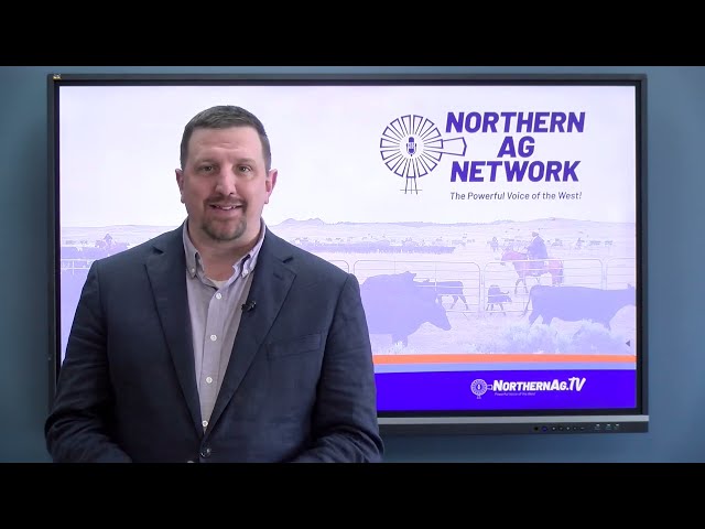 Hay Prices Climbing on Incoming Drought and El Nino Weather Effects