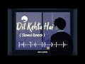 Dil Kehta Hai | Akele Hum Akele Tum | Amir Khan | Manisha Koirala | Slowed Reverb song | Mp3 Song