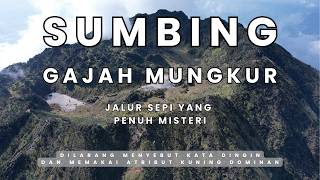 Download Mp3 SUMBING Gajah Mungkur - A Lonely Path Full of Mystery | RIKAS HARSA Gudang lagu Download Mp3 SUMBING Gajah Mungkur - A Lonely Path Full of Mystery | RIKAS HARSA