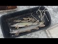 Рыбалка в Астане,первый лед