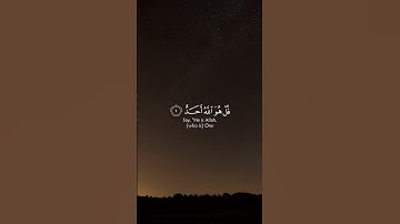 ادريس ابكر سورة الإخلاص idris abkar surah ikhlas