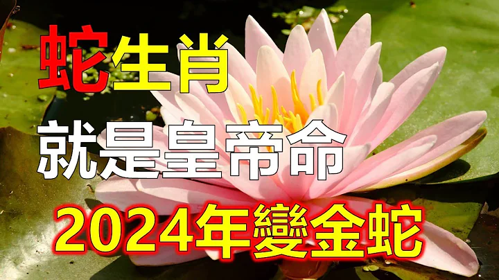 生肖屬蛇人簡直就是皇帝命，2024年變金蛇，生肖蛇遇事吉祥如意，2023生肖蛇得豐富的財富，生肖蛇一生難能可貴，生肖蛇一生榮華富貴金錢多，財富滿滿的。2023年12生肖運勢，預測十二生肖運勢（生肖蛇） - 天天要聞