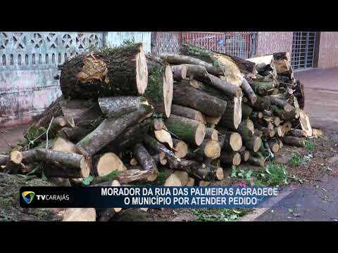 Morador da Rua das Palmeiras agradece ao município por atender pedido