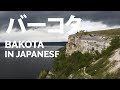 Bakota in Japanese バーコタはポニーッジャとかセレヅニャ・ナヅニストリャンシチェナの古い首都です
