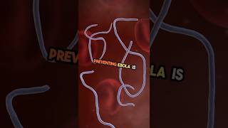 how to prevent ebola #ebola #prevention