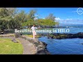 Beautiful morning in Hilo: Hawaii big island 