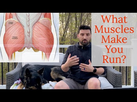 Video: What Muscles Work When Running