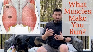 What Muscles Work Most When You Are Running? - What muscles do you use to run?