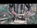 Honey bee farming api culture
