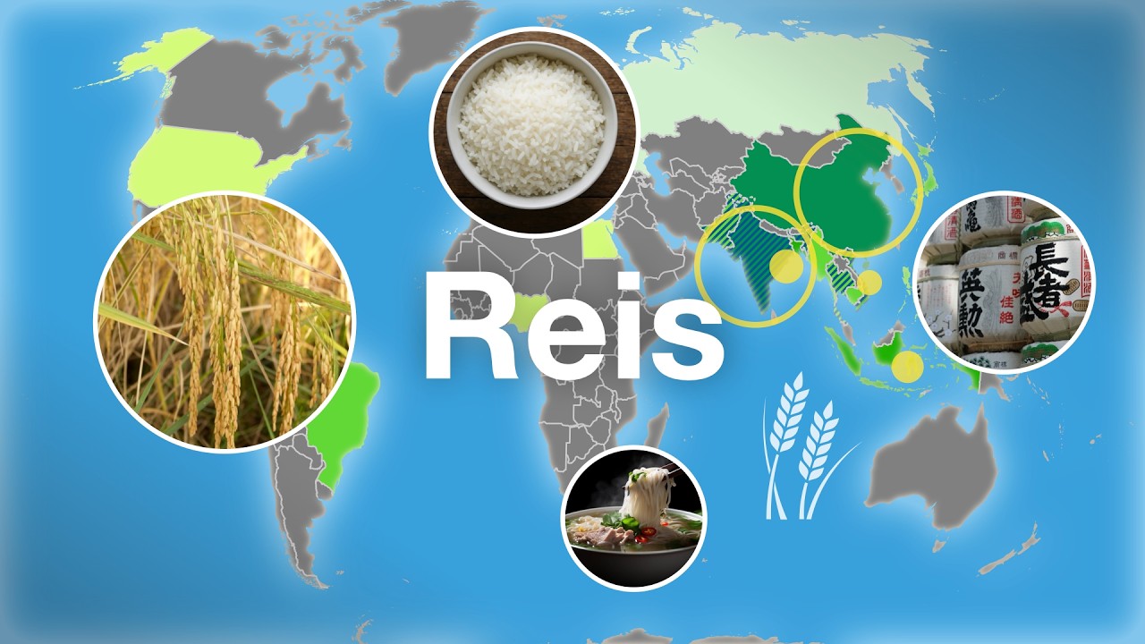 Wo Reis die Welt ernährt: Blick auf Anbau und Handel in Karten