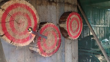 Firebird reactive targets