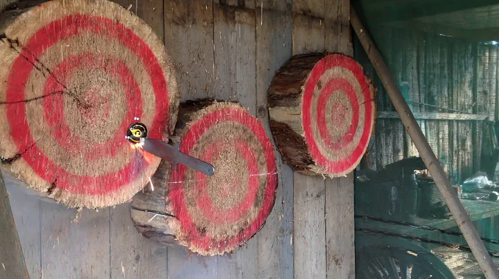 Firebird reactive targets