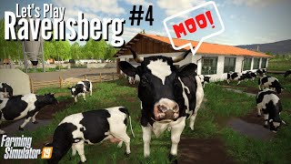 Until the cows come home - Ep4 Ravensberg FS19