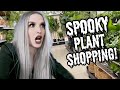 VLOG!!! Spooky Plant Hunting + Halloween Chats!