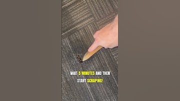 How to Remove Gum From Carpet