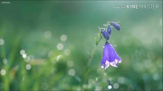 Cover Song- Herou Baahi