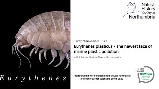 Eurythenes plasticus - the newest face of marine plastic pollution