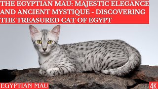 The Egyptian Mau: Majestic Elegance and Ancient Mystique  Discovering the Treasured Cat of Egypt