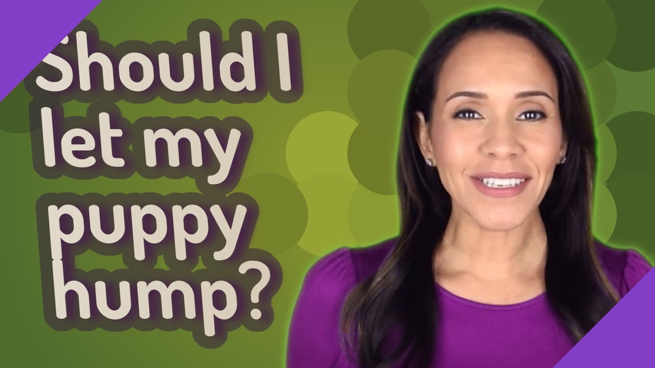 Should I let my puppy hump? YouTube