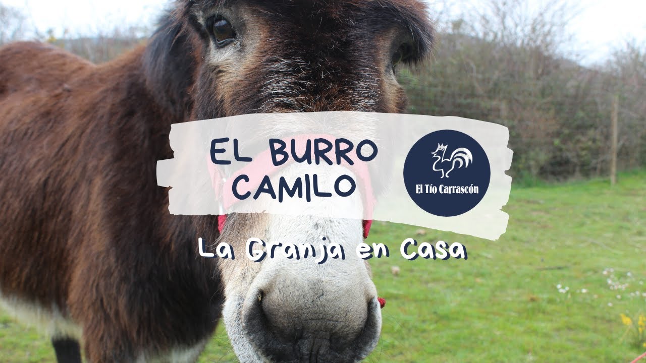 El Burro de La Granja