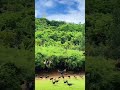 POV: You fall in love with the planet again 🌎💚