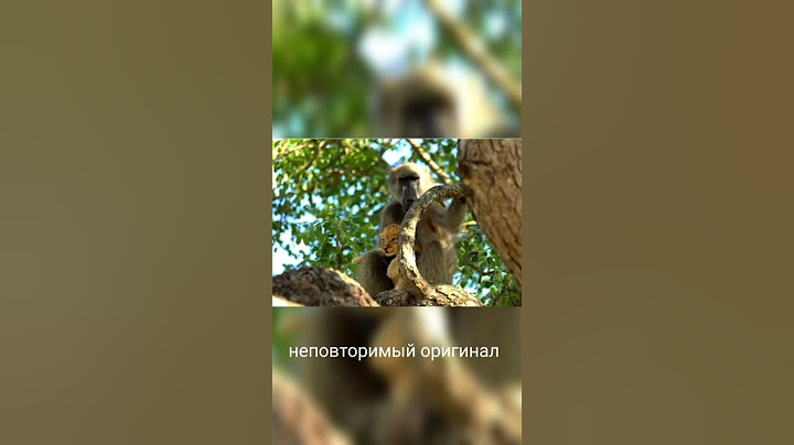 теперь мы знаем с кого рисовали мультик 😂 #прикол #оригинал #shorts