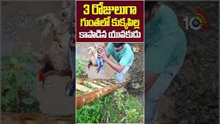 3 రోజులుగా గుంతలో కుక్కపిల్ల కాపాడిన యువకుడు | #dog #ongole #youngboy #save #doglife #10tvnews