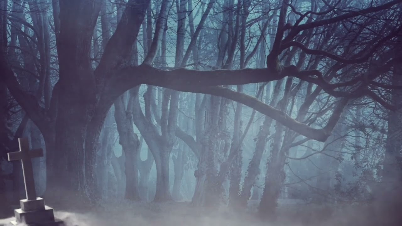 DJ Vali -PADUREA MISTICA!!!  - Noua Versiune -