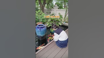 Biệt Thự Sân Vườn 500M2 - Niềm Mơ Ước của rất nhiều người | VILLA DESIGN TV