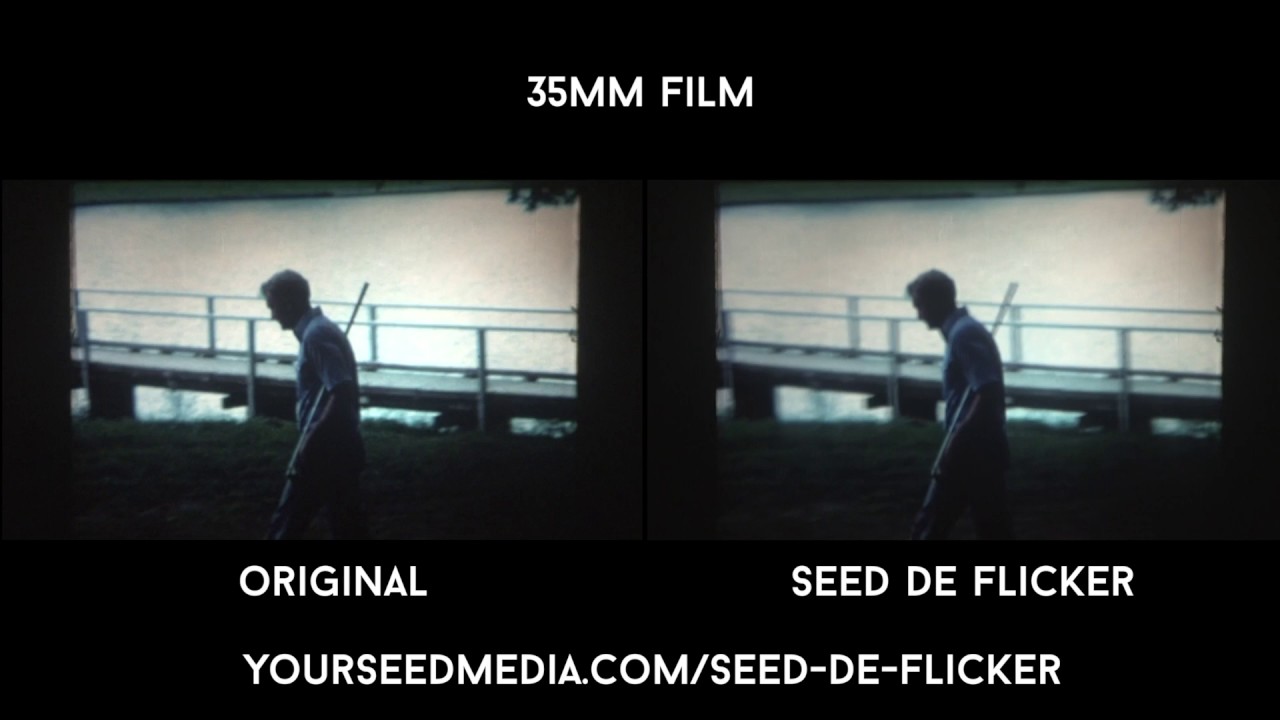 seed de flicker on 35mm film