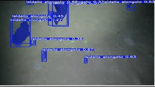 Segmentation of ocean ground elements using Mask-RCNN