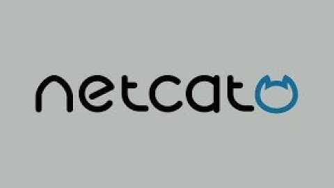 Netcat: Bind and Reverse Shell