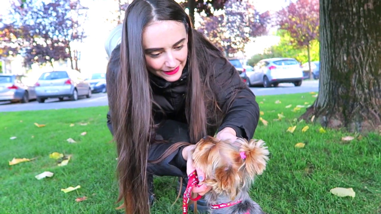 NE-AM LUAT CĂȚEL? VLOG!