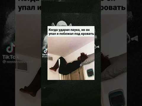😂😂 #shorts #ютуб #прикол #мем #мемы #юмор #funny #смех