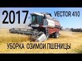 Уборка озимои пшеницы с комбайном VECTOR 410 и МТЗ 82.1 / MOLDOVA №1