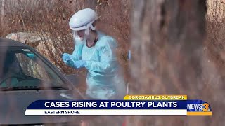 AM coverage: Cases rising at poultry plants