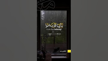 #اكسبلور #تلاوة_خاشعة #لايك #اسلام #ترند #قرآن #quran #حالات_واتس #صلاة #تيك_توك