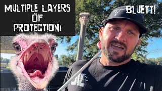 Download Lagu Multiple Layers of Protection! MP3 Download Lagu Multiple Layers of Protection! MP3