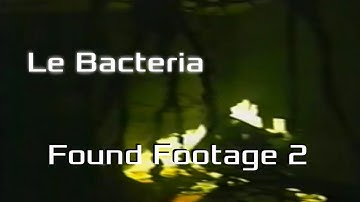 I put Grass Skirt Chase over The Backrooms Found Footage 2 and Edited a little