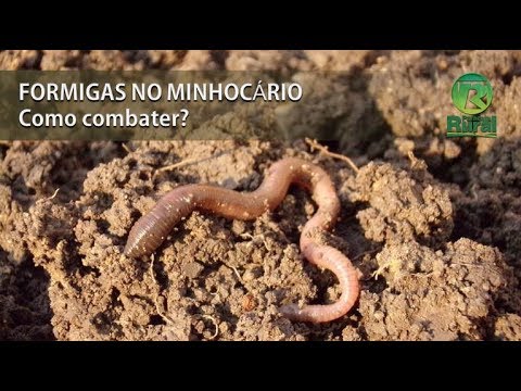 Vídeo: Es pot tacar un terra de formigó?
