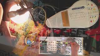 Chrisdehall- Flute, Modular Omnichord