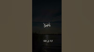 قران كريم ارح قلبك وسمعك #قران_في_دقيقة #quran #عبدالرحمن_مسعد @قران_في_دقيقة