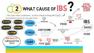 IBS - القولون العصبي - اعراض القولون العصبى وعلاجه بالتفصيل screenshot 3