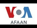 Oduu Haala Yeroo Filannoon Baranaa Ajaaiba Voa Afaan Oromo Oduu Haala Yeroo Filannoon Baranaa Ajaaiba Voa Afaan Oromo