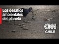 WWF Chile: “Tenemos una crisis climática, de contaminación y también de pérdida de biodiversidad”