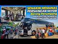 TERATAS KEMBALI MEMPIMPIN‼️MIYOR Borong Penumpang Armada Hampir Full Seat Semua Dari Sini