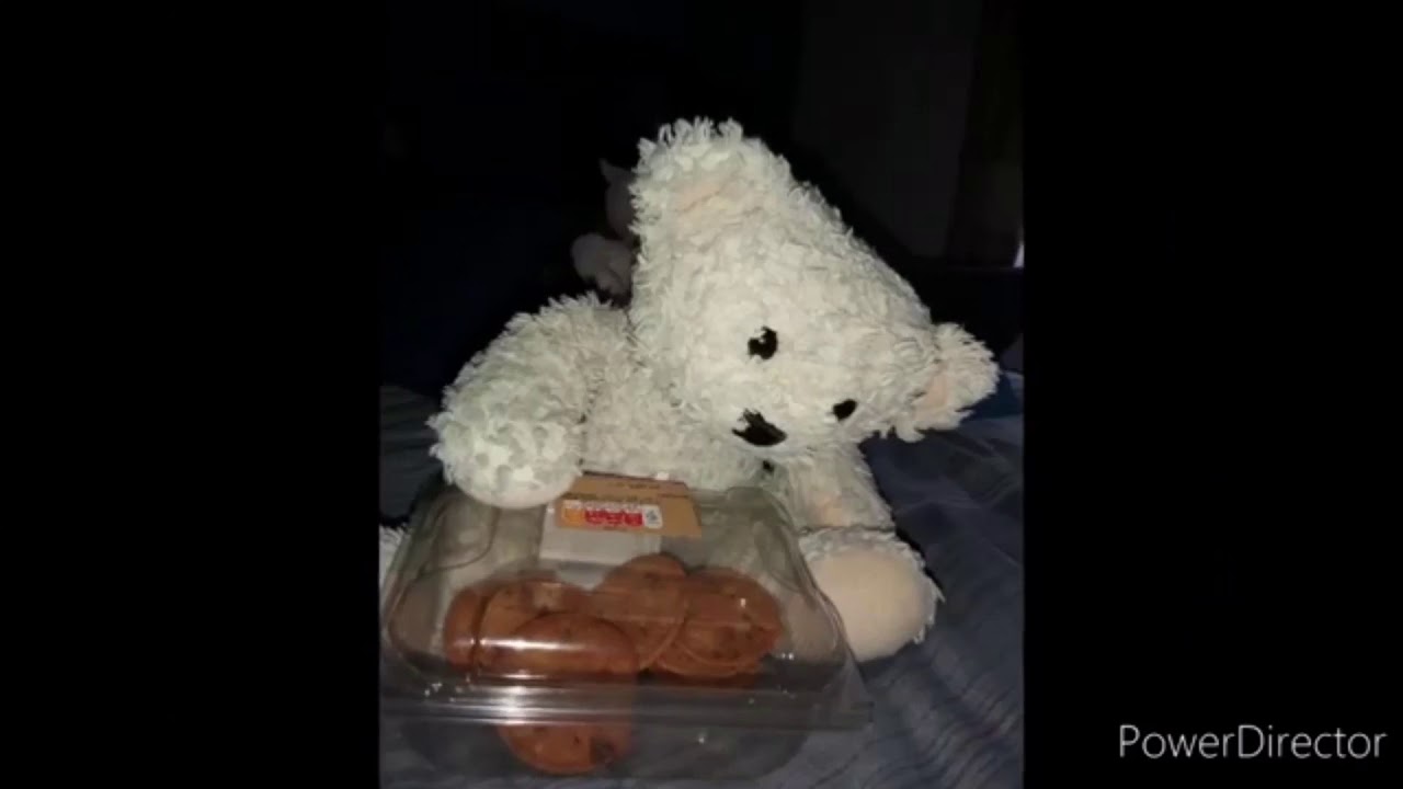 Bear Irl Images And Videos Youtube - roblox bear plushies