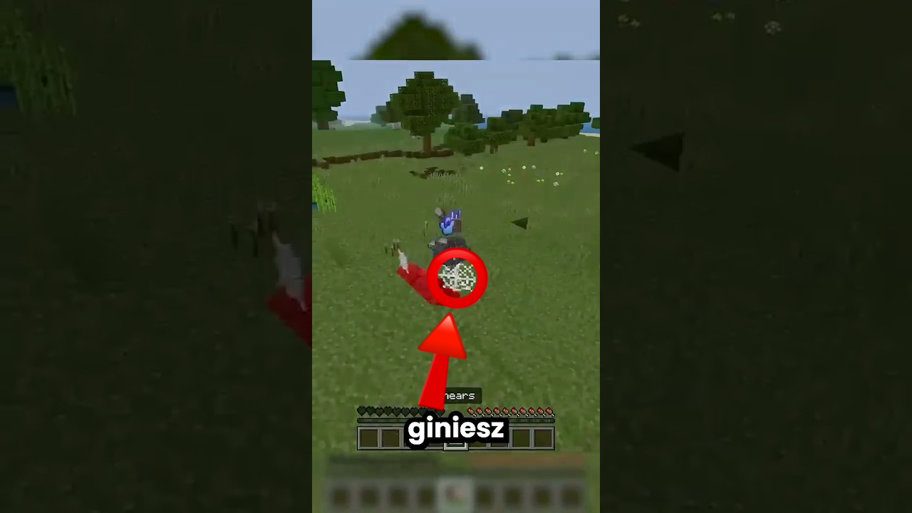 te BUGI w Minecraft Bedrock są PORĄBANE...