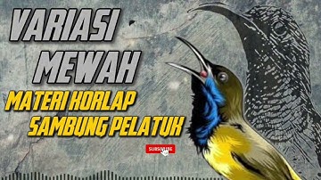 MASTERAN SOGON‼️ VARIASI MEWAH MATERI KORLAP SAMBUNG PELATUK #sogon #sogongacor #sogokontong